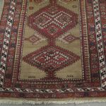 614 2555 ORIENTAL RUG